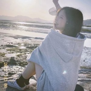 《少女与动物2》
