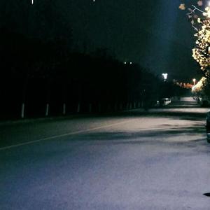 《少女与动物2》
