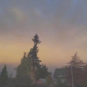 《少女与动物2》
