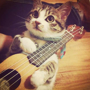 《少女与动物2》
