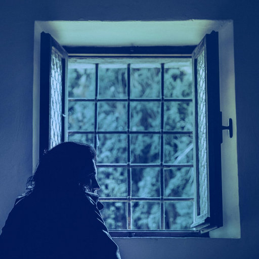 《少女与动物2》
